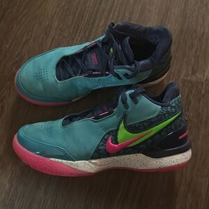 Nike Zoom LeBron NXXT Gen Amped Volleyball/Basketball Shoes